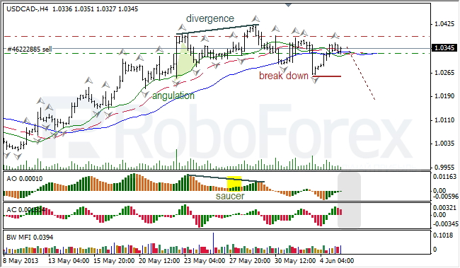 Анализ индикаторов Б. Вильямса для USD/CAD на 05.06.2013