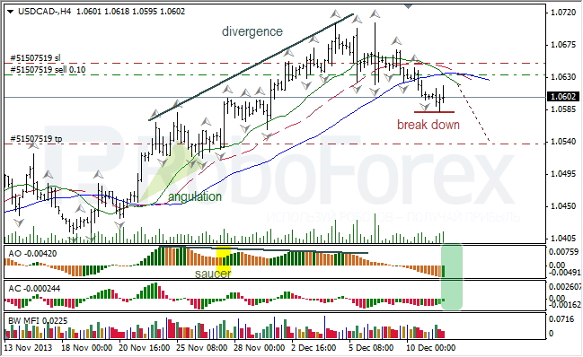 Анализ индикаторов Б. Вильямса для USD/CAD  на 12.12.12.2013