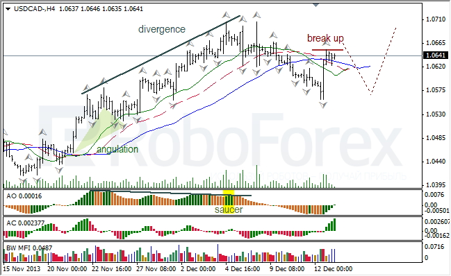 Анализ индикаторов Б. Вильямса для USD/CAD на 13.12.2013