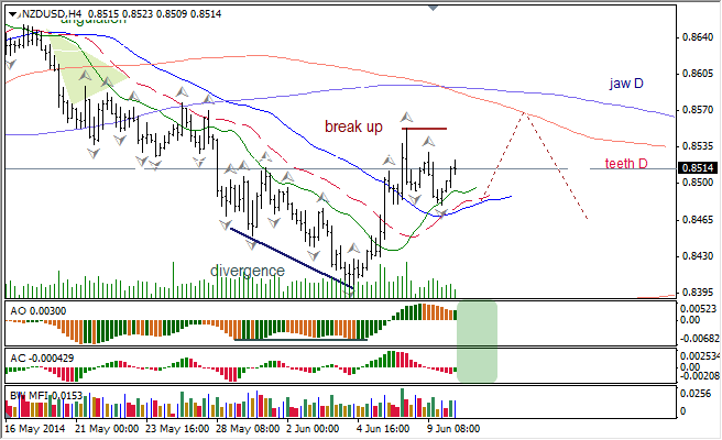 Анализ индикаторов Б. Вильямса для USD/CAD и NZD/USD на 10.06.2014