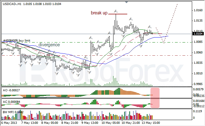 Анализ индикаторов Б. Вильямса для USD/CAD на 14.05.2013