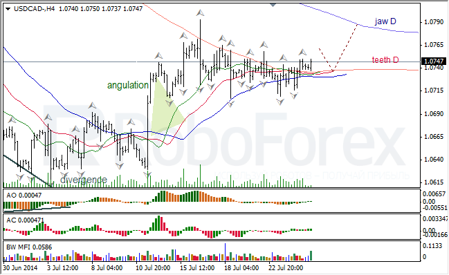 Анализ индикаторов Б. Вильямса для USD/CAD и NZD/USD на 25.07.2014