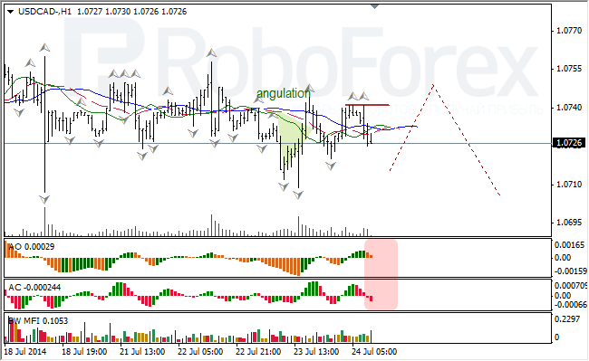 Анализ индикаторов Б. Вильямса для USD/CAD и NZD/USD на 24.07.2014