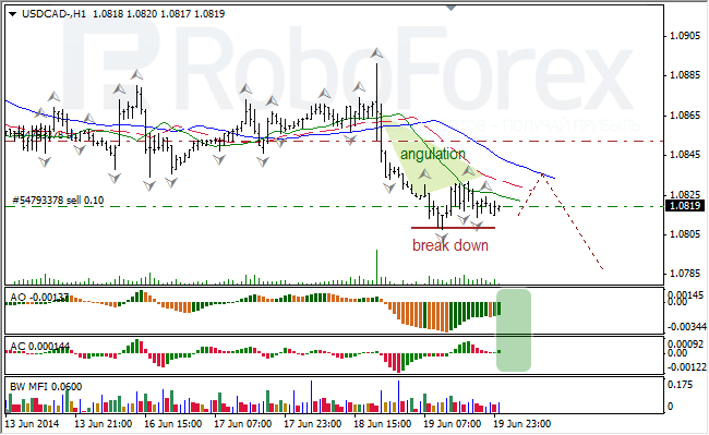 Анализ индикаторов Б. Вильямса для USD/CAD и NZD/USD на 20.06.2014