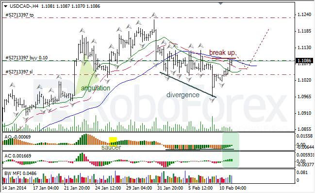 Анализ индикаторов Б. Вильямса для USD/CAD на 11.02.2014