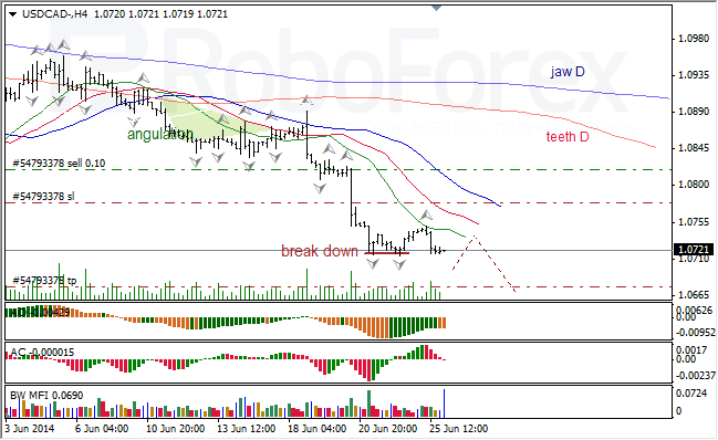 Анализ индикаторов Б. Вильямса для USD/CAD и NZD/USD на 26.06.2014