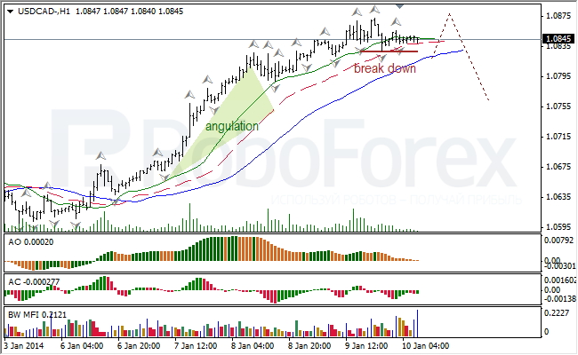 Анализ индикаторов Б. Вильямса для USD/CAD на 10.01.2014