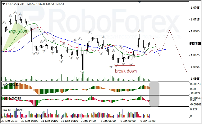 Анализ индикаторов Б. Вильямса для USD/CAD на 07.01.2014