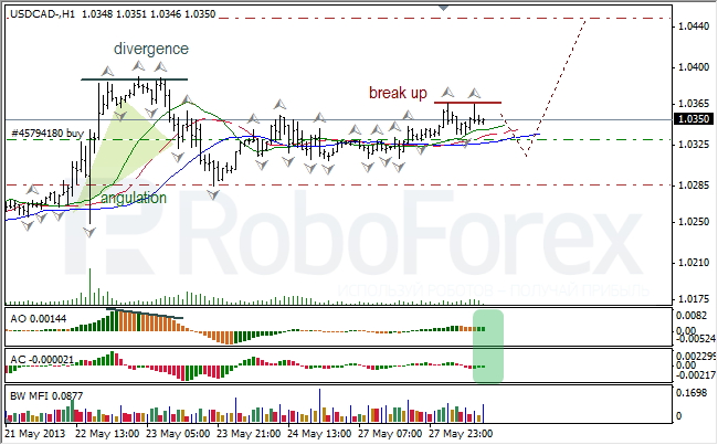 Анализ индикаторов Б. Вильямса для USD/CAD на 28.05.2013