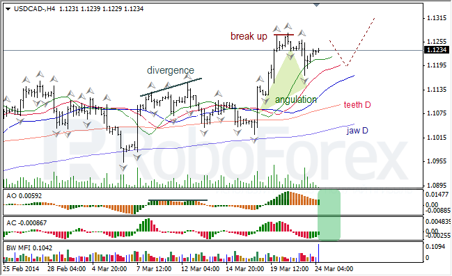 Анализ индикаторов Б. Вильямса для USD/CAD и NZD/USD на 24.03.2014 