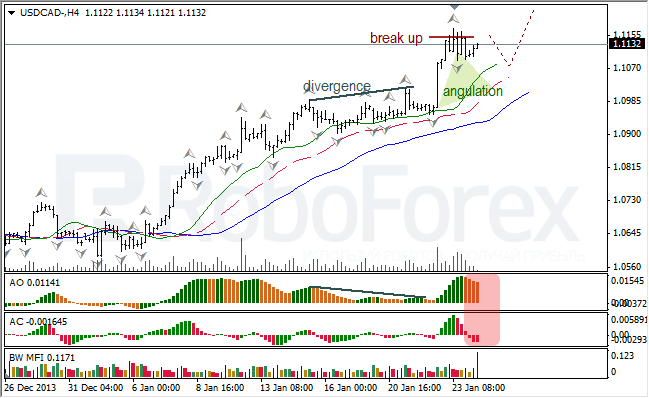 Анализ индикаторов Б. Вильямса для USD/CAD на 24.01.2014