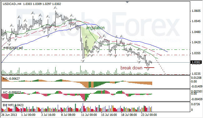 Анализ индикаторов Б. Вильямса для USD/CAD на 24.07.2013