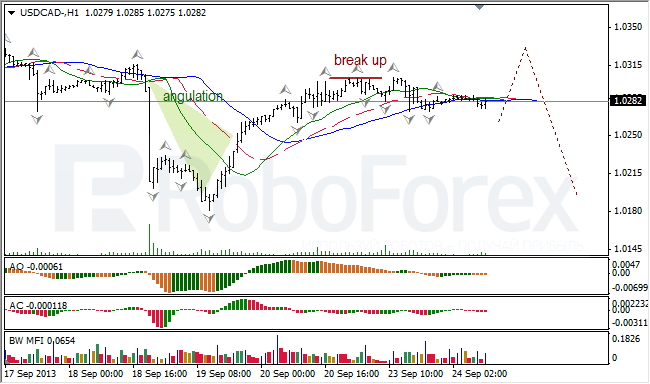 Анализ индикаторов Б. Вильямса для USD/CAD на 24.09.2013