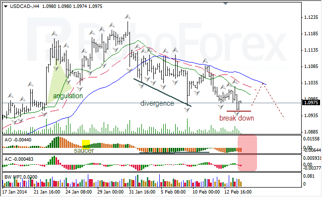 Анализ индикаторов Б. Вильямса для USD/CAD на 14.02.2014