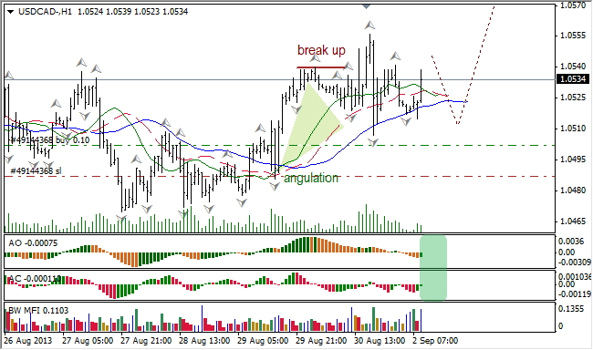 Анализ индикаторов Б. Вильямса для USD/CAD на 02.09.2013