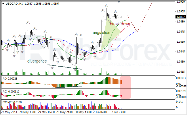 Анализ индикаторов Б. Вильямса для USD/CAD и NZD/USD на 03.06.2014