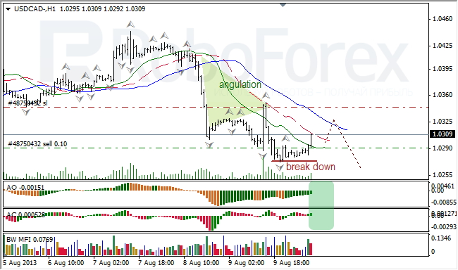 Анализ индикаторов Б. Вильямса для USD/CAD на 12.08.2013