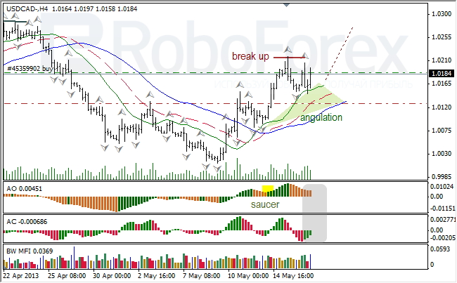 Анализ индикаторов Б. Вильямса для USD/CAD на 17.05.2013