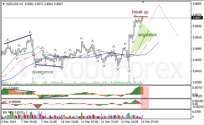 Анализ индикаторов Б. Вильямса для USD/CAD и NZD/USD на 13.03.2014