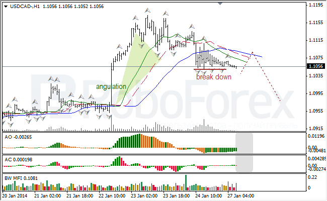 Анализ индикаторов Б. Вильямса для USD/CAD на 27.01.2014