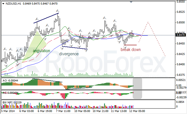 Анализ индикаторов Б. Вильямса для USD/CAD и NZD/USD на 12.03.2014