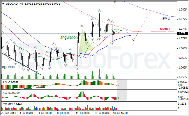 Анализ индикаторов Б. Вильямса для USD/CAD и NZD/USD на 21.07.2014