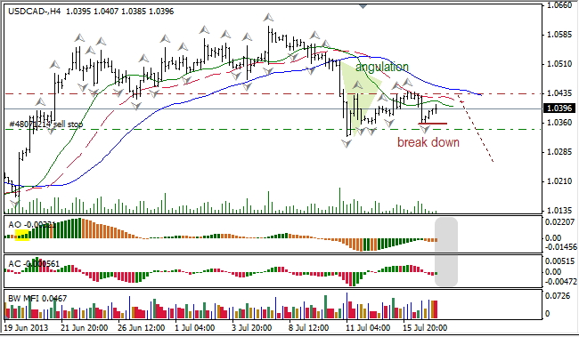 Анализ индикаторов Б. Вильямса для USD/CAD на 17.07.2013