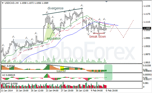 Анализ индикаторов Б. Вильямса для USD/CAD на 07.02.2014