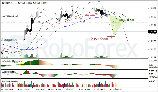 Анализ индикаторов Б. Вильямса для USD/CAD на 12.07.2013