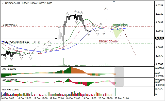 Анализ индикаторов Б. Вильямса для USD/CAD на 23.12.2013