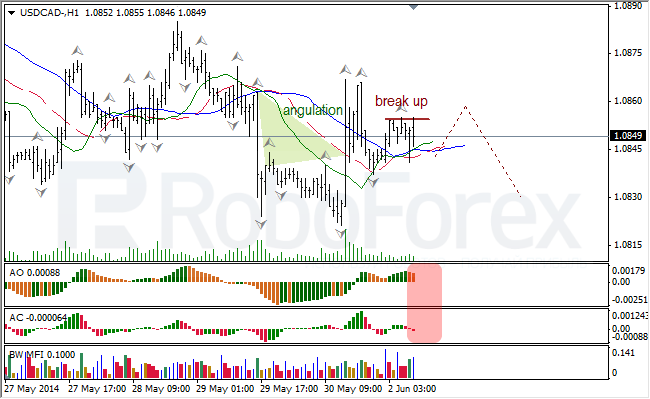 Анализ индикаторов Б. Вильямса для USD/CAD и NZD/USD на 02.06.2014