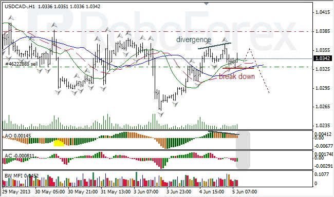 Анализ индикаторов Б. Вильямса для USD/CAD на 05.06.2013