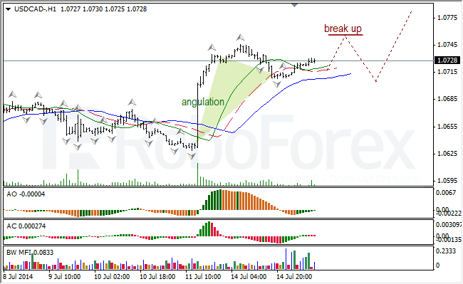 Анализ индикаторов Б. Вильямса для USD/CAD и NZD/USD на 15.07.2014