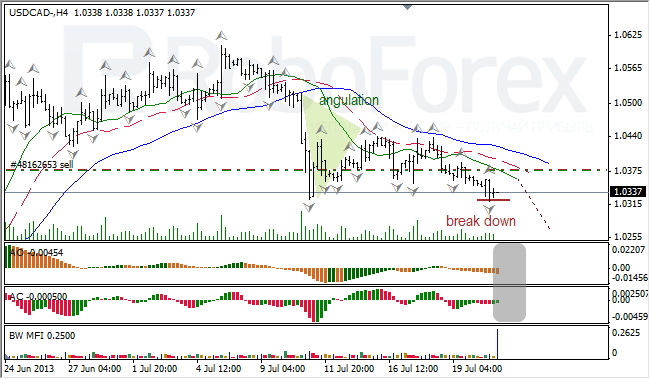 Анализ индикаторов Б. Вильямса для USD/CAD на 23.07.2013