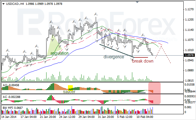 Анализ индикаторов Б. Вильямса для USD/CAD на 12.02.2014