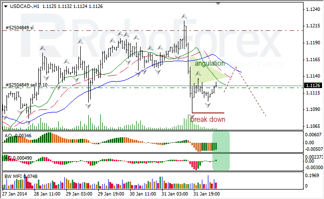 Анализ индикаторов Б. Вильямса для USD/CAD на 03.02.2014