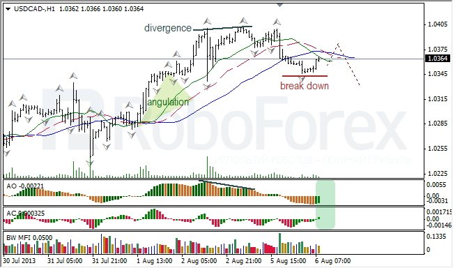 Анализ индикаторов Б. Вильямса для USD/CAD на 06.08.2013