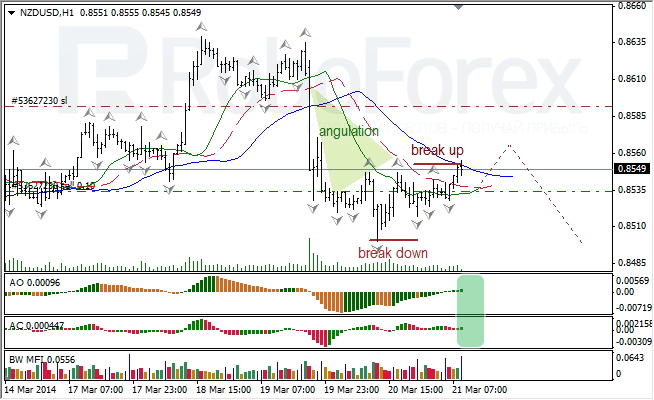 Анализ индикаторов Б. Вильямса для USD/CAD и NZD/USD на 21.03.2014 