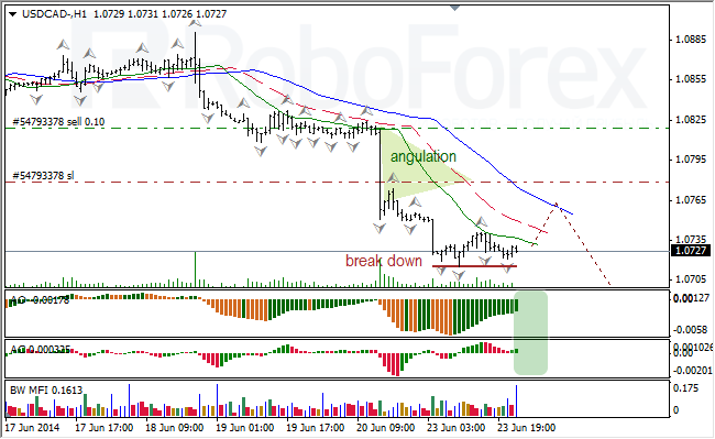 Анализ индикаторов Б. Вильямса для USD/CAD и NZD/USD на 24.06.2014