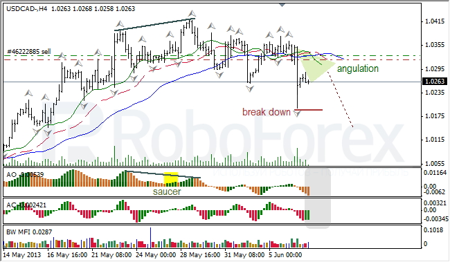 Анализ индикаторов Б. Вильямса для USD/CAD на 07.06.2013