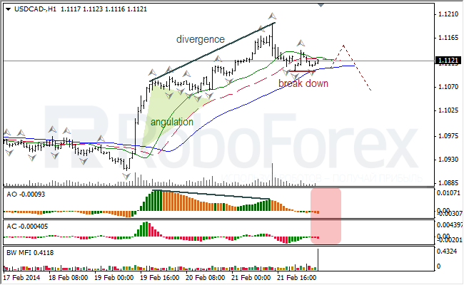 Анализ индикаторов Б. Вильямса для USD/CAD и NZD/USD на 24.02.2014