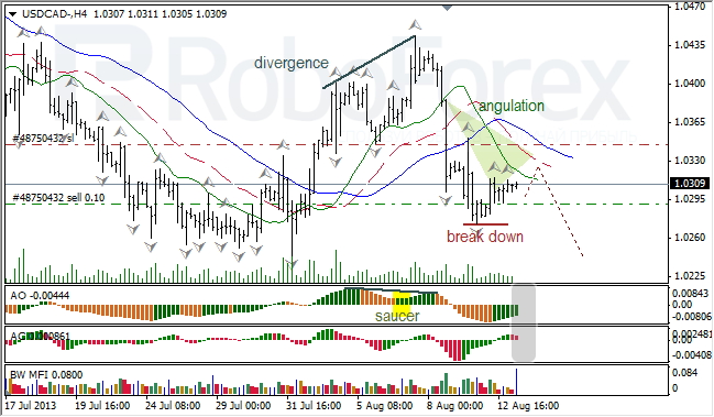 Анализ индикаторов Б. Вильямса для USD/CAD на 13.08.2013