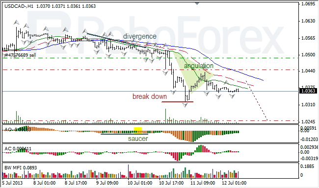 Анализ индикаторов Б. Вильямса для USD/CAD на 12.07.2013