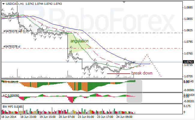 Анализ индикаторов Б. Вильямса для USD/CAD и NZD/USD на 25.06.2014