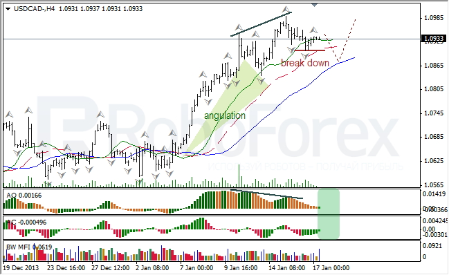 Анализ индикаторов Б. Вильямса для USD/CAD на 17.01.2014