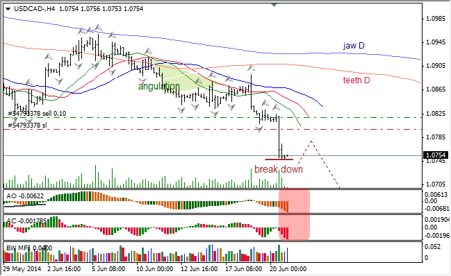 Анализ индикаторов Б. Вильямса для USD/CAD и NZD/USD на 22.06.2014