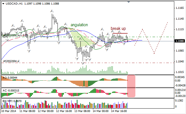 Анализ индикаторов Б. Вильямса для USD/CAD и NZD/USD на 17.03.2014