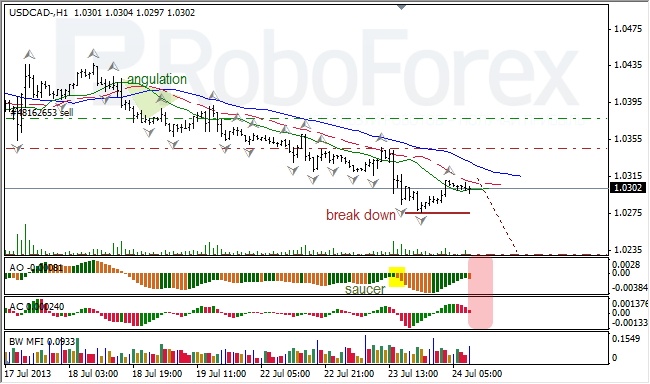 Анализ индикаторов Б. Вильямса для USD/CAD на 24.07.2013