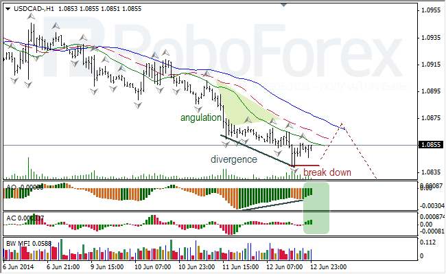 Анализ индикаторов Б. Вильямса для USD/CAD и NZD/USD на 13.06.2014