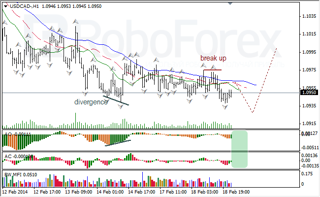 Анализ индикаторов Б. Вильямса для USD/CAD на 19.02.2014